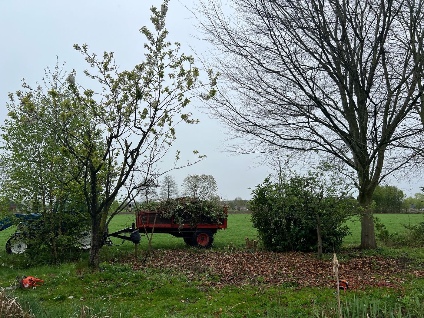 Aanhanger vol snoeiafval bij een weiland, kettingzaag en heggenschaar in het gras